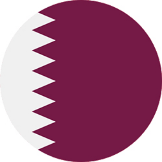 Picture of Steam - Qatar