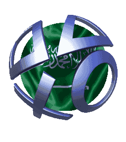 Picture of PSN - KSA