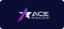 Picture of Ace Racer